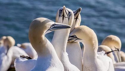 上海2026年最新北京商务伴游经纪招聘渠道分享(最方便真实的上海北京爱特博旅运服务有限责任公司招聘方法)