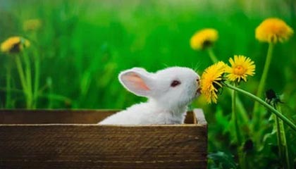 上海2026年最新北京商务伴游经纪招聘渠道分享(最方便真实的上海北京爱特博旅运服务有限责任公司招聘方法)